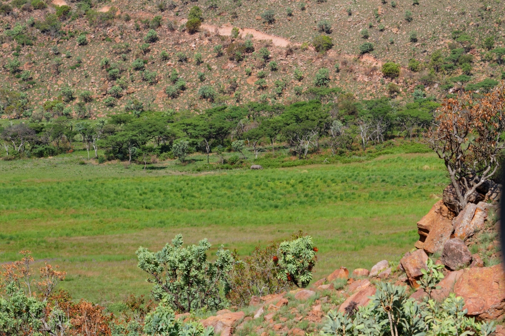 10 - Marakele NP (7).jpg